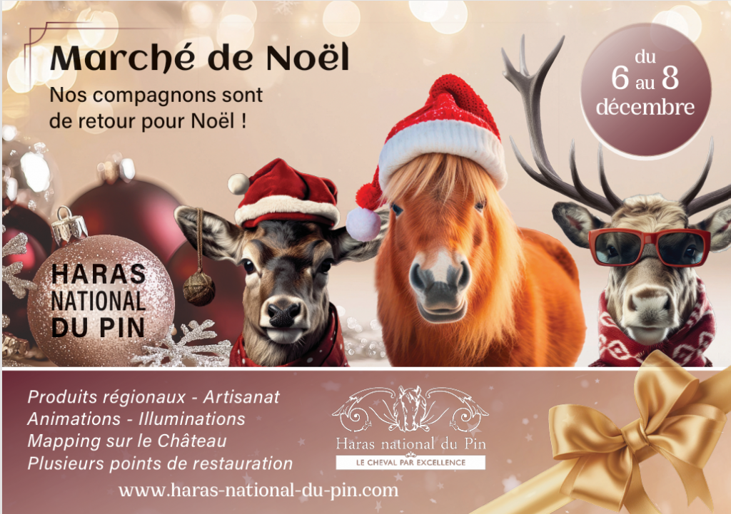 Le Haras du Pin fête Noël