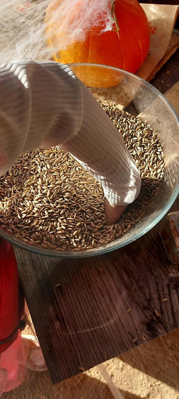 La chasse aux montres 2025