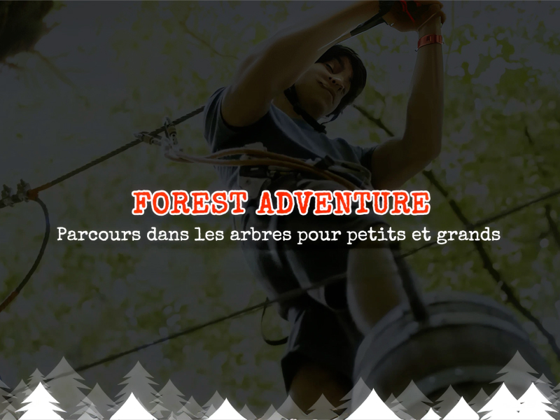 Forest adventure