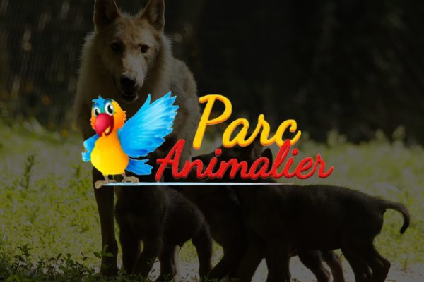 Promo de la Rentrée 2026 !