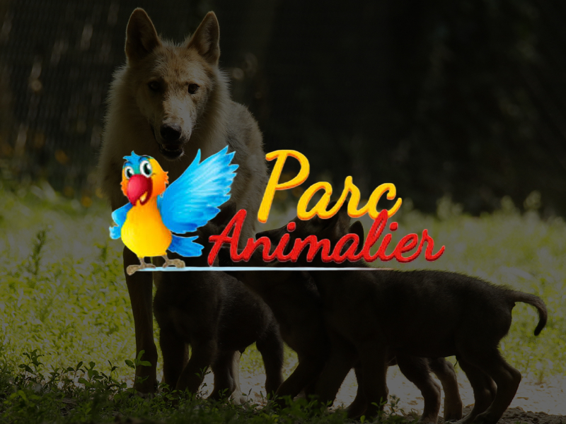 Parc animalier
